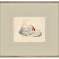 Edward Lear — Четыре виньетки с изображением птиц - пара попугаев, фламинго, авокадо и мергансер, изображение 7