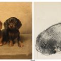 Edwin Henry Landseer — Исследование четырех щенков таксы, изображение 1