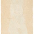 Egon Schiele — Молодая женщина (Дирне), изображение 3