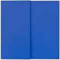 Ellsworth Kelly — Синяя таблетка, изображение 1