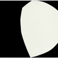 Ellsworth Kelly — Йорк, изображение 2
