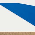 Ellsworth Kelly — Озеро, изображение 2