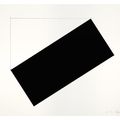 Ellsworth Kelly — Серия из семи литографий, изображение 7