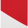 Ellsworth Kelly — Красная кривая, изображение 1