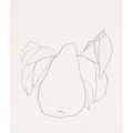 Ellsworth Kelly — Груша III, из серии литографий растений, изображение 1