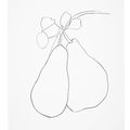 Ellsworth Kelly — Груша II, из серии литографий растений, изображение 1