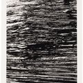 Ellsworth Kelly — Государства реки, изображение 5