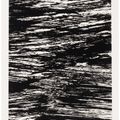 Ellsworth Kelly — Государства реки, изображение 6