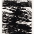 Ellsworth Kelly — Государства реки, изображение 7