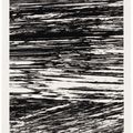 Ellsworth Kelly — Государства реки, изображение 8