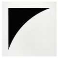 Ellsworth Kelly — Первая серия кривых: две пластины, изображение 1