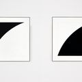 Ellsworth Kelly — Первая серия кривых: две пластины, изображение 2