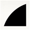 Ellsworth Kelly — Первая серия кривых: две пластины, изображение 3