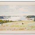 Fairfield Porter — Утреннее солнце над Южным лугом, изображение 2