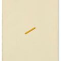 Francis Alÿs — Без названия [Пять работ], изображение 11