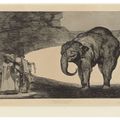 Francisco Goya — Четыре дополнительные таблички для: Los Proverbios, изображение 3