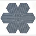 Frank Stella — Мемориальное издание Ирвинга Блюма, изображение 2