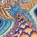 František Kupka — История пестиков, изображение 1