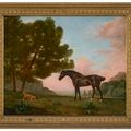 George Stubbs — Темно-гнедая лошадь, смотрящая налево, и золотистый спаниель, обнюхивающий землю, изображение 2