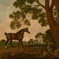 George Stubbs — Темно-гнедая лошадь, смотрящая направо, рядом с большим дубом, изображение 1