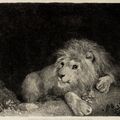 George Stubbs — Лев (Лежащий Лев), изображение 1
