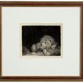 George Stubbs — Лев (Лежащий Лев), изображение 2