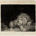 George Stubbs — Лев (Лежащий Лев), изображение 3