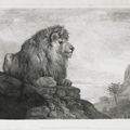 George Stubbs — Лев (Лев, отдыхающий на скале), изображение 1