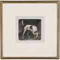 George Stubbs — Собака (Гончая, идущая по следу), изображение 2