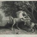 George Stubbs — Дерущиеся лошади и быки, изображение 1