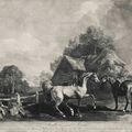 George Stubbs — Жеребец и кобыла, изображение 1