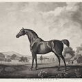 George Stubbs — Наковальня и Свитуильям, изображение 1
