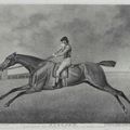 George Stubbs — Баронет, Разносчик сладостей, Наковальня и доброволец, изображение 1