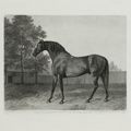 George Stubbs — Баронет, Разносчик сладостей, Наковальня и доброволец, изображение 3