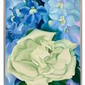Georgia O’Keeffe — Белая роза с живокостью № I, изображение 2