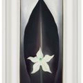 Georgia O’Keeffe — Осенний лист с белым цветком, изображение 4