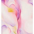 Georgia O’Keeffe — Из розовой скорлупы, изображение 1