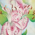 Georgia O’Keeffe — Розовые пятнистые лилии, изображение 1