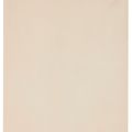 Georgia O’Keeffe — Форма растения-Алоэ, изображение 4