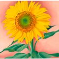 Georgia O’Keeffe — Подсолнух от Мэгги, изображение 1