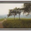 Gerhard Richter — Апфельбауме, изображение 2