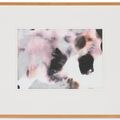 Gerhard Richter — Ноябрь, изображение 15