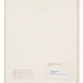 Gerhard Richter — 17.9.94, изображение 3