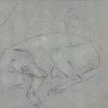 Giovanni Battista Tiepolo — Этюд ангела, держащего кувшин, длиной в три четверти (справа ); Этюд собаки ( сзади ), изображение 3