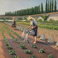 Gustave Caillebotte — Жардиньерки, изображение 1