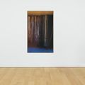 Hans Hartung — T1962-E39, изображение 3