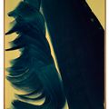 Hans Hartung — T1976 - H11, изображение 2