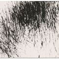Hans Hartung — T1980-H17, изображение 1