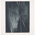 Hans Hartung — Без названия, изображение 4