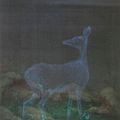 Hao Liang — Тихие звонки, изображение 1